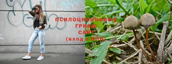 2c-b Волосово