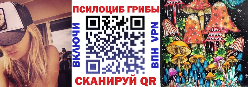 Псилоцибиновые грибы Magic Shrooms  где продают наркотики  Горбатов 
